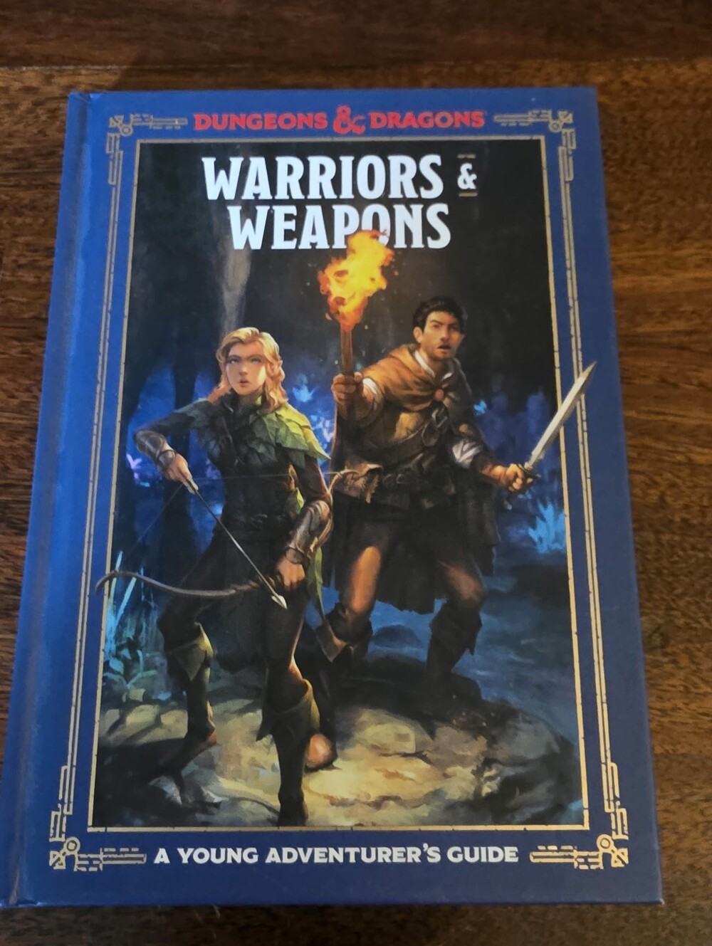 Dungeons & Dragons Young Adventurer's Guides: Warriors and Weapons Hardcover